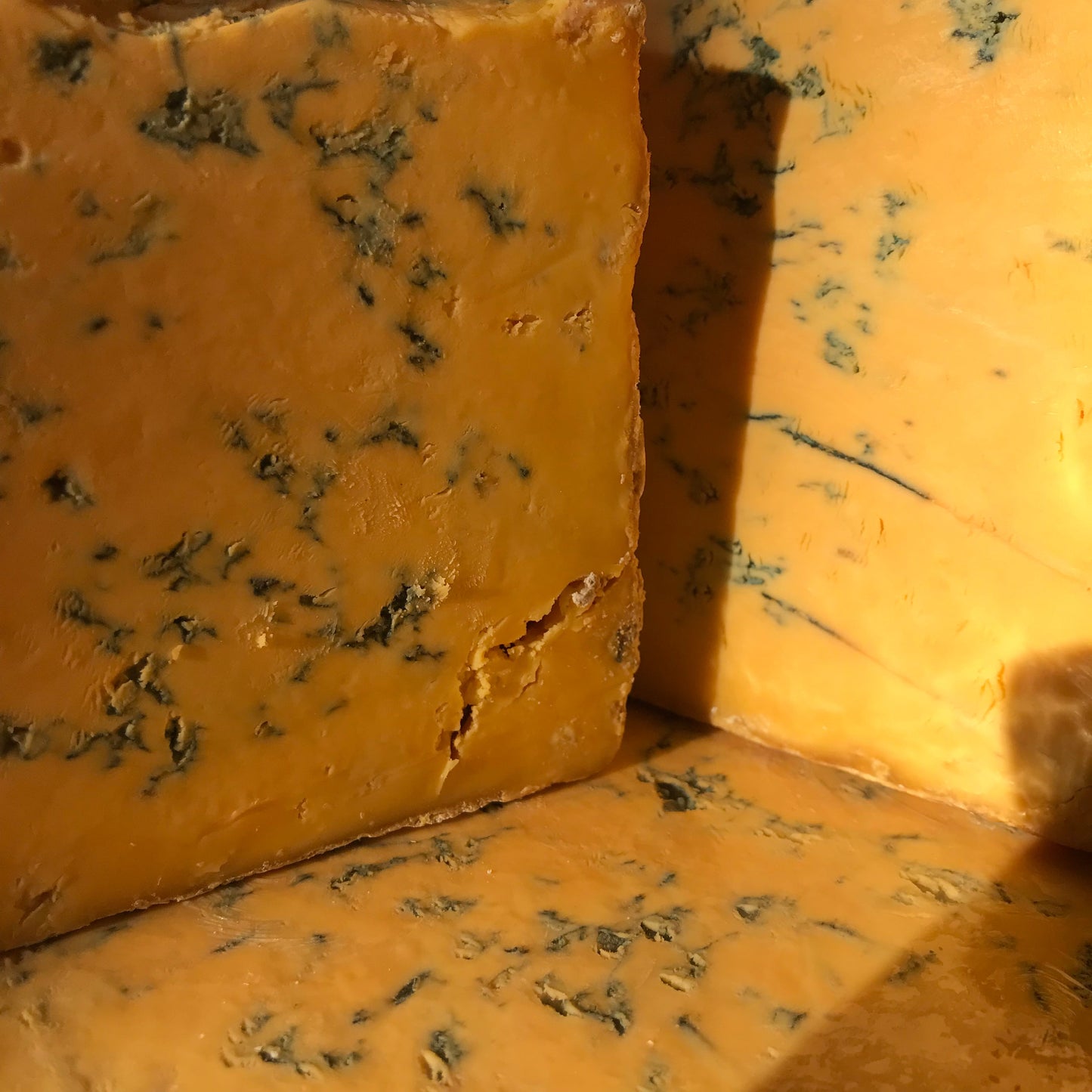 Shropshire Blue - Christmas Selection