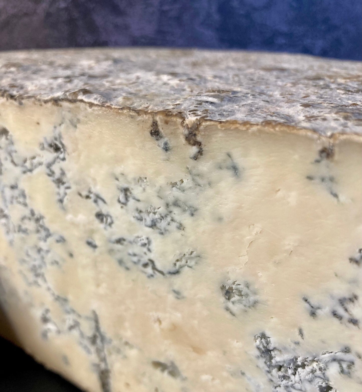 Brunswick Blue - Christmas Selection