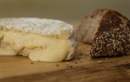 Individual Truffled Baron Bigod - Available from 17th December